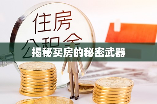 民和揭秘买房的秘密武器