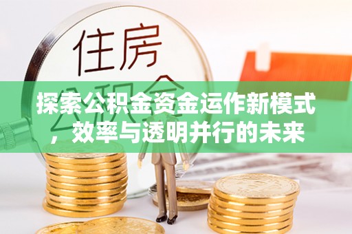 民和探索公积金资金运作新模式，效率与透明并行的未来
