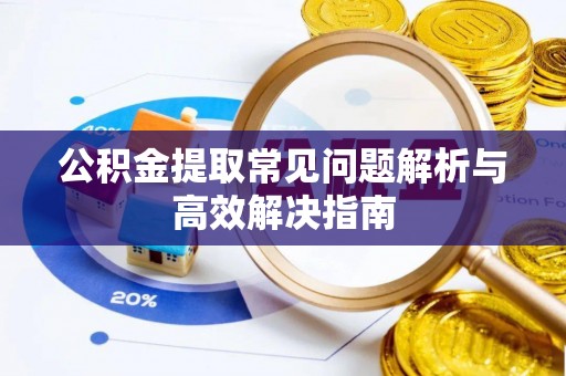 民和公积金提取常见问题解析与高效解决指南