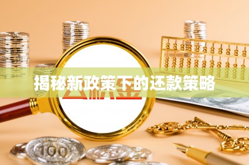 民和揭秘新政策下的还款策略