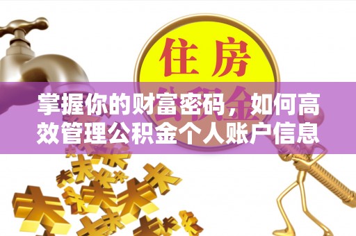 民和掌握你的财富密码，如何高效管理公积金个人账户信息