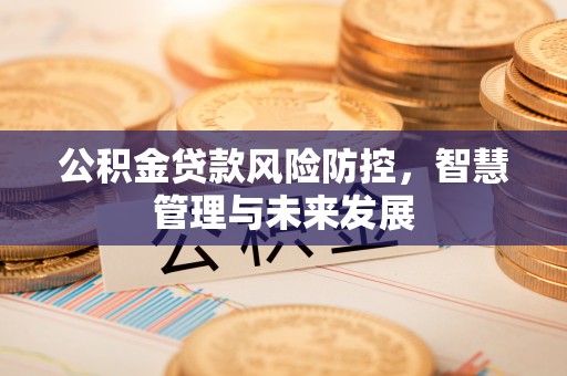 民和公积金贷款风险防控，智慧管理与未来发展