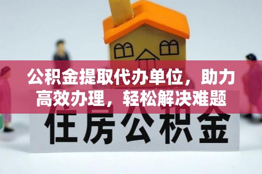 民和公积金提取代办单位，助力高效办理，轻松解决难题