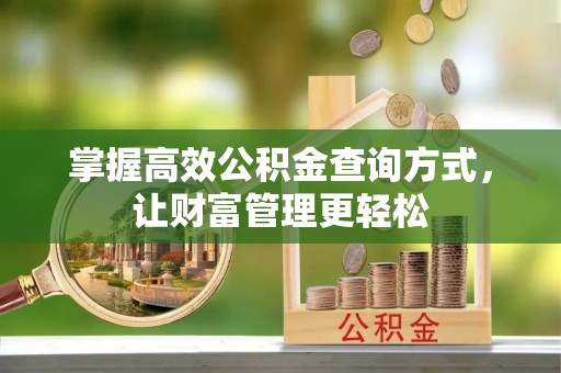 民和掌握高效公积金查询方式，让财富管理更轻松