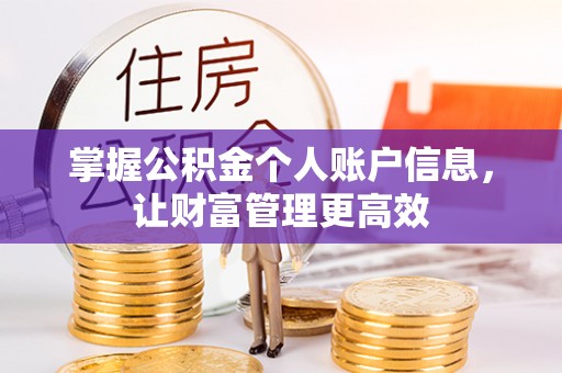 民和掌握公积金个人账户信息，让财富管理更高效