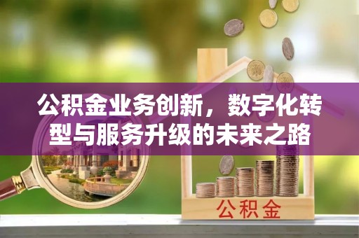 民和公积金业务创新，数字化转型与服务升级的未来之路