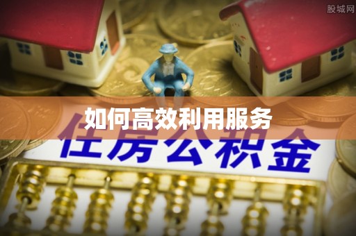 民和如何高效利用服务