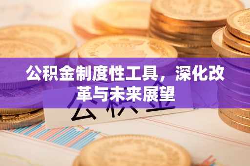 民和公积金制度性工具，深化改革与未来展望