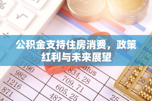 民和公积金支持住房消费，政策红利与未来展望
