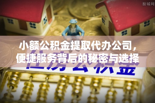 民和小额公积金提取代办公司，便捷服务背后的秘密与选择指南