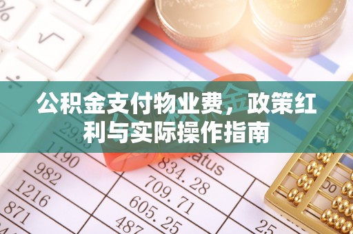 民和公积金支付物业费，政策红利与实际操作指南