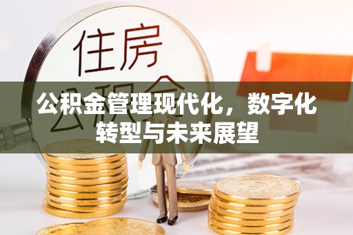 民和公积金管理现代化，数字化转型与未来展望