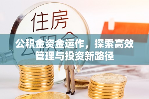 民和公积金资金运作，探索高效管理与投资新路径