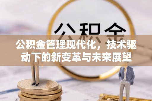 民和公积金管理现代化，技术驱动下的新变革与未来展望
