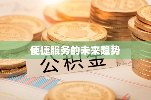 民和便捷服务的未来趋势