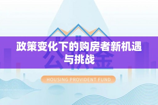 民和政策变化下的购房者新机遇与挑战