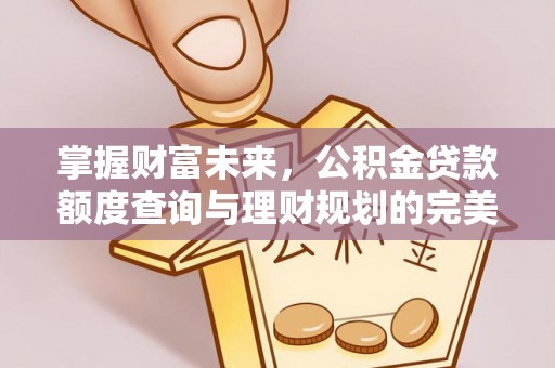 民和掌握财富未来，公积金贷款额度查询与理财规划的完美结合