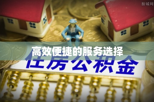 民和高效便捷的服务选择