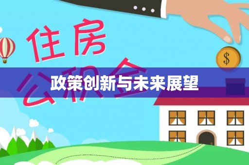 民和政策创新与未来展望
